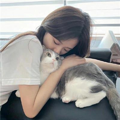 母牛总动员