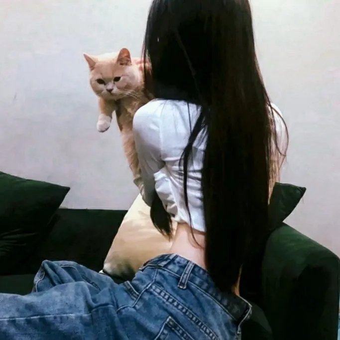 巴瑞第四季